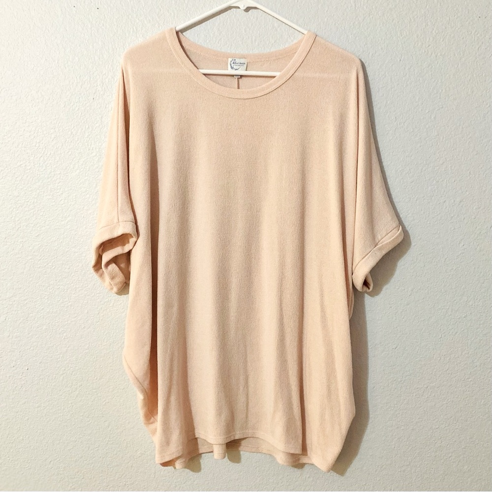 Short sleeve sweater from Francesca’s. Like new, size large